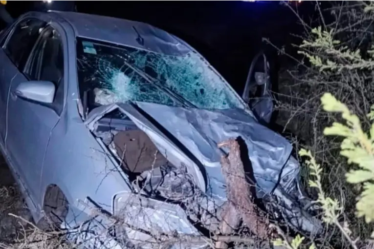 Chocó contra un vacuno en Ruta 2, perdió el control del auto y fue hospitalizado - imagen de origen