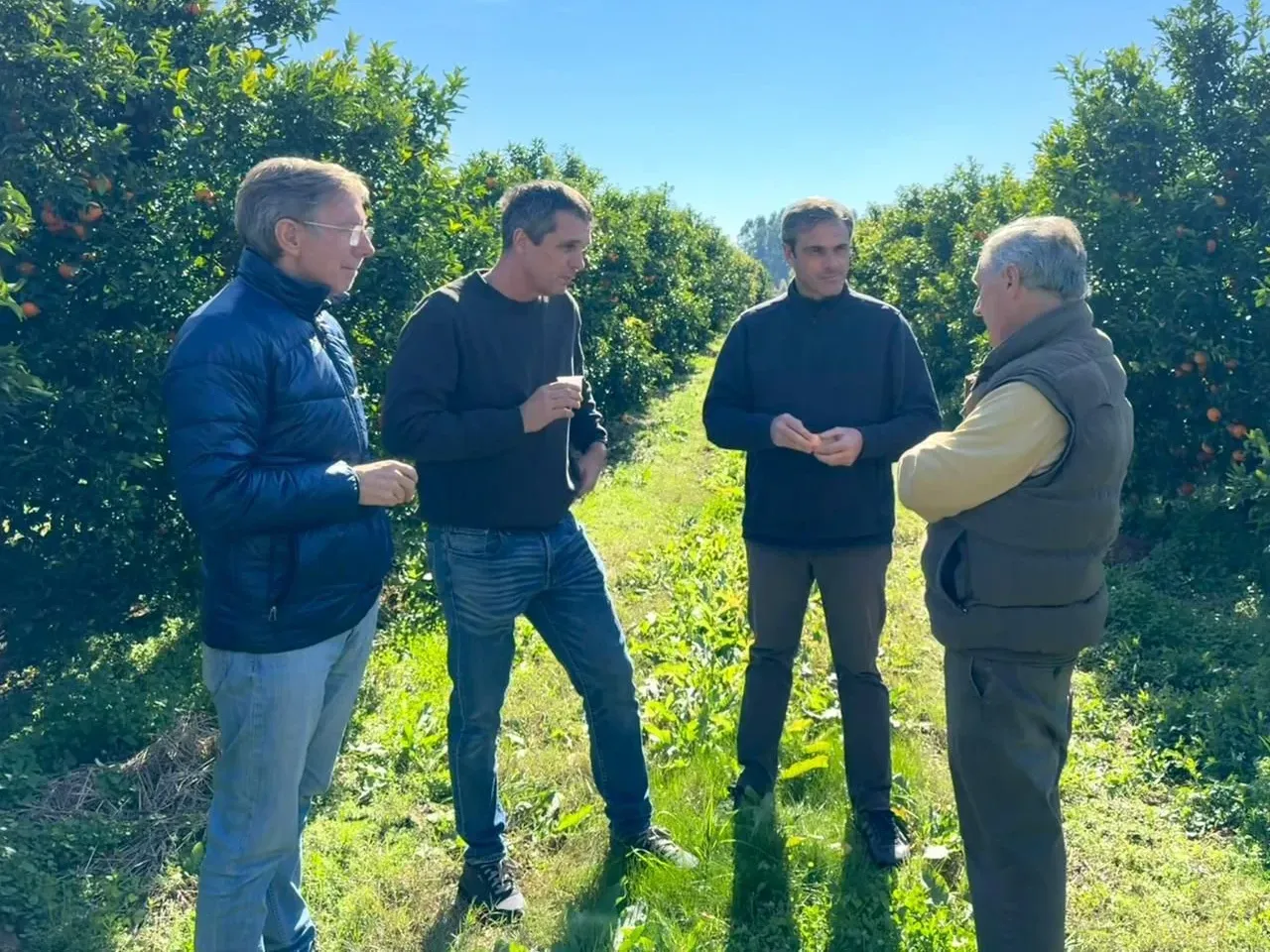 Michel, Cresto y Bahillo se reunieron con productores citrícolas por la crisis del sector - imagen de origen