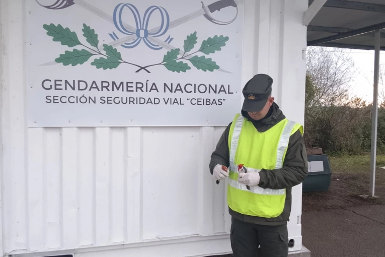 Gendarmería rescató 30 ejemplares de cardenal copete rojo transportados por Ruta 12 - imagen de origen