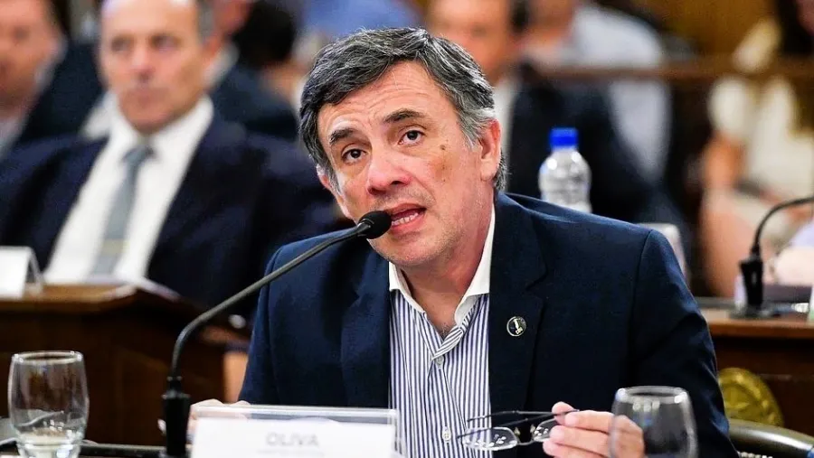 Reforma previsional: “No encuentro algo que me convenza de que no va a afectar a mucha gente”, dijo Oliva | Análisis - imagen de origen