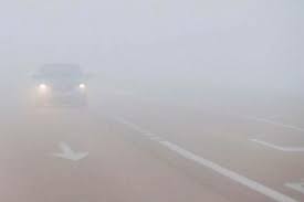 Alerta violeta por niebla en Entre Ríos: advierten sobre una drástica reducción de visibilidad para este lunes - 7PAGINAS - imagen de origen