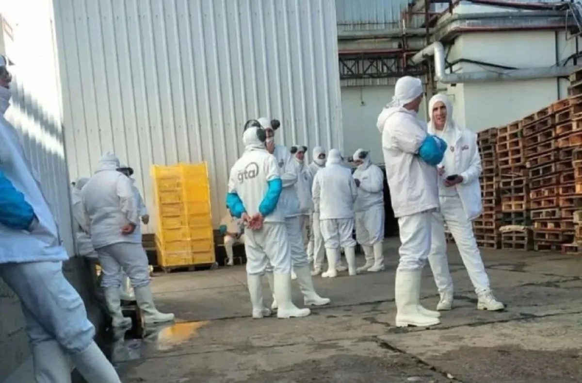 Trabajadores de Tres Arroyos continúan con el cese total de actividades debido a la falta de pago - imagen de origen