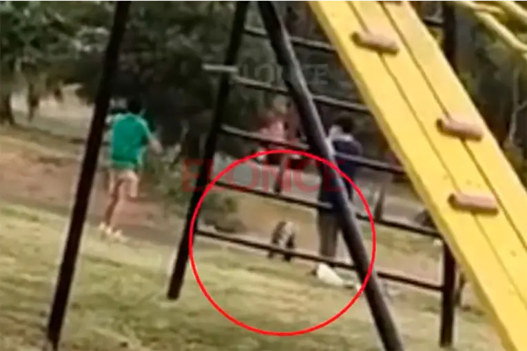 Peligro en una plaza de Paraná: vecinos alertaron por chicos que arrojaron una rueda hacia la calle - imagen de origen