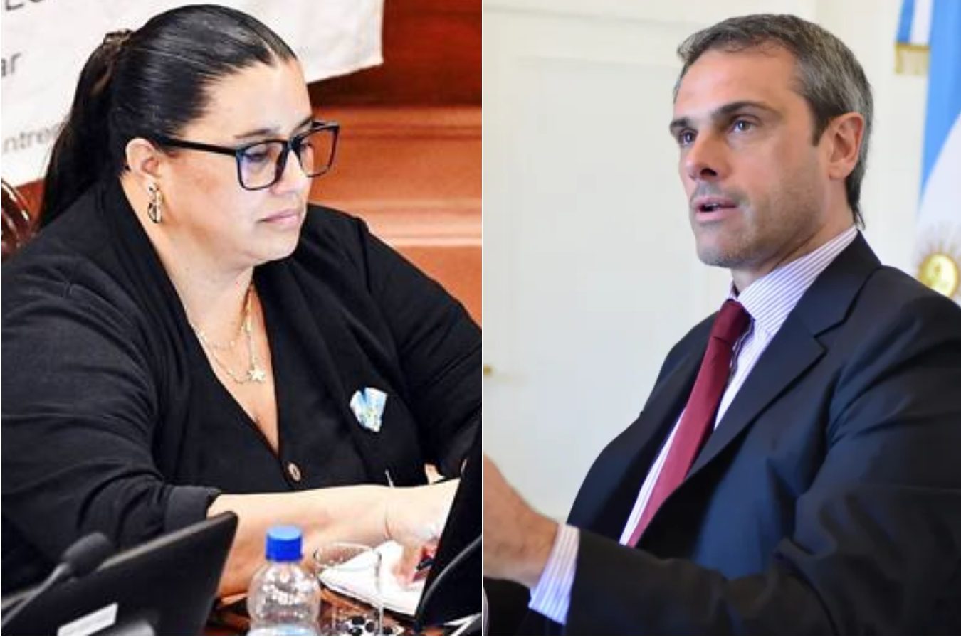Régimen de Concesiones: diputada oficialista respondió a Michel y prometió que "no habrá privatizaciones" - Plaza Web - imagen de origen