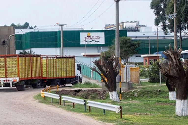 La planta de Granja Tres Arroyos cerró sus puertas y crece la incertidumbre por mil empleos - imagen de origen