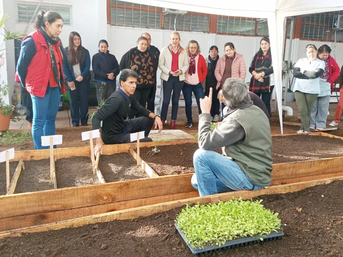 Más familias acceden al programa de huertas agroecológicas integradas - imagen de origen