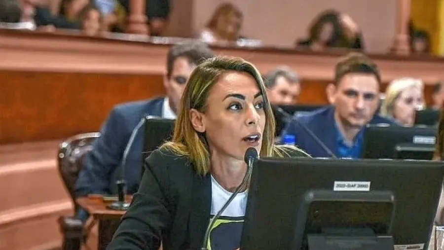 Reforma previsional: “Una banca no es una decisión individual aislada”, expresó Arrozogaray | Análisis - imagen de origen