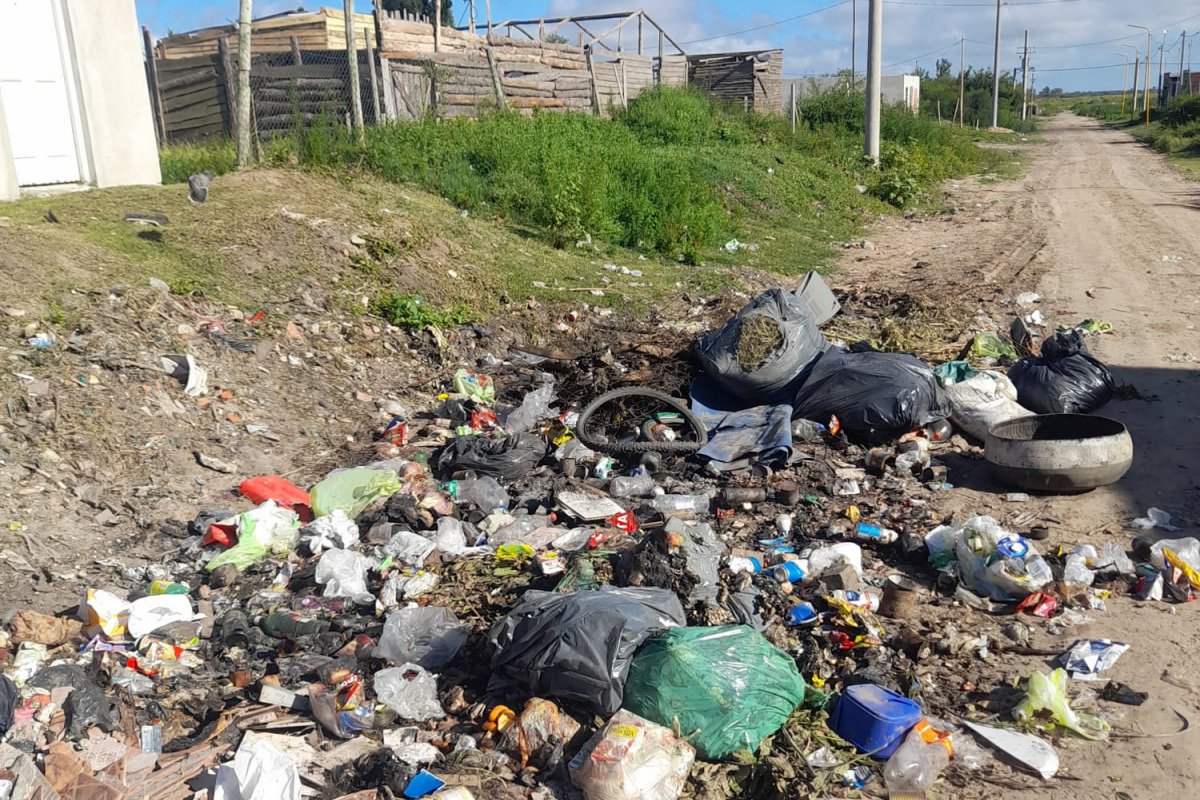 Microbasurales: el desafío ambiental que persiste a pesar de los operativos de limpieza - imagen de origen