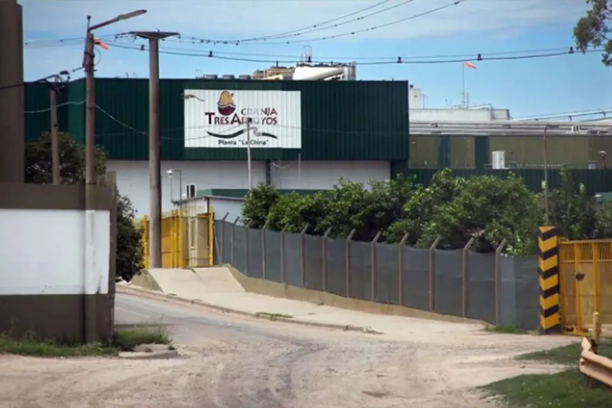 Advierten que "el impacto del cierre de Granja Tres Arroyos es imposible de mensurar" - Plaza Web - imagen de origen