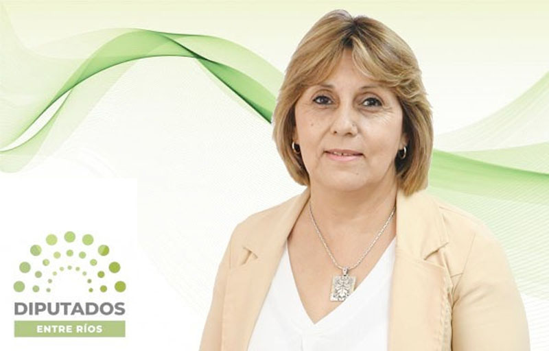 Quedó confirmada una sentencia civil contra la diputada Liliana Salinas - imagen de origen