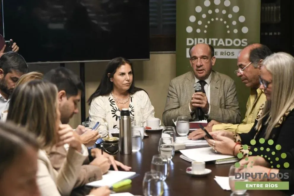 Diputados retoman el debate para regular los pedidos de juicio político en Entre Ríos - imagen de origen