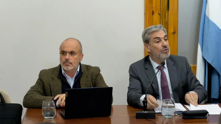 Bagnat en el Senado: “Lo importante es que haya una visión reparadora y contenedora del sistema a largo plazo” | Análisis - imagen de origen