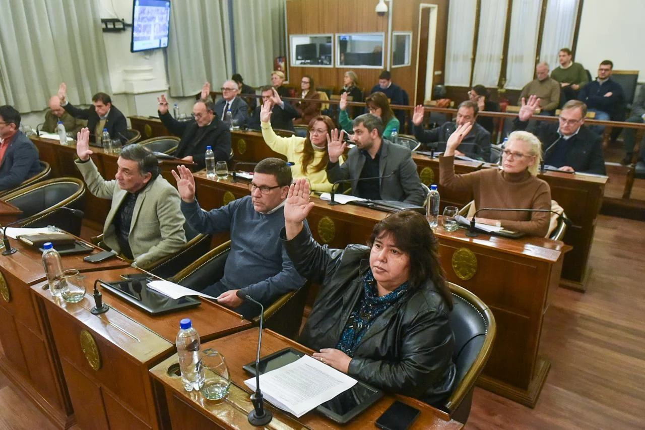 Solicitan la intervención del Consejo Profesional de Ciencias Económicas para un informe técnico independiente - imagen de origen