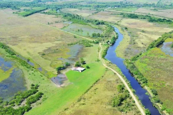 Investigan la construcción de diques y la fumigación con agroquímicos en el Delta - imagen de origen