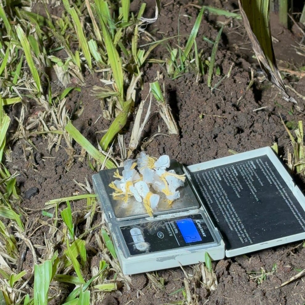 Operativo saturación: secuestran cocaína, una tumbera y detienen a dos hombres - imagen de origen