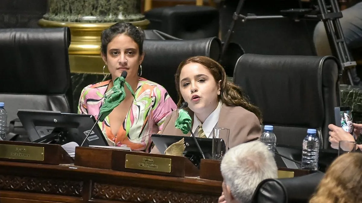 Ofelia Fernández llega a Paraná este jueves - imagen de origen