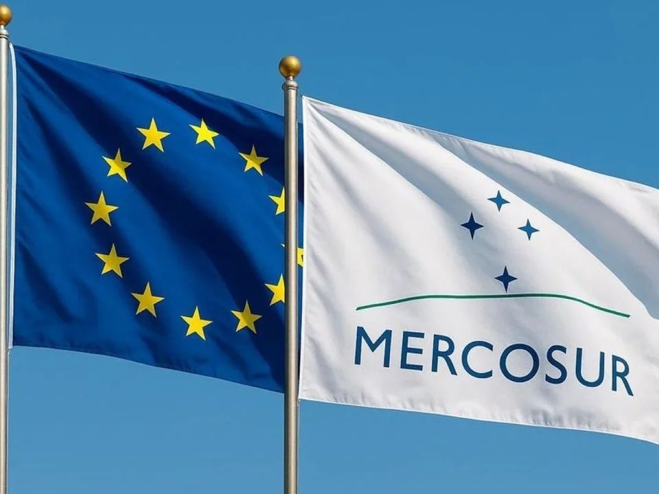 Acuerdo Mercosur-UE: la Argentina completó el cupo exportador de huevos y superó las 330 toneladas - imagen de origen