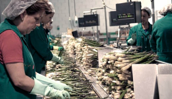 La economía entrerriana crece pero sin generar empleos - imagen de origen