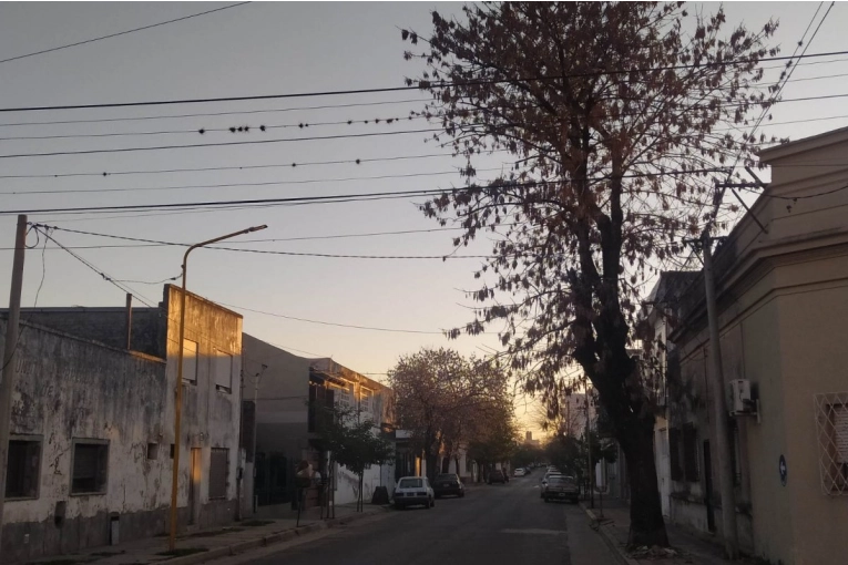 Este lunes comenzará una poda general sobre calle 3 de Caballería - imagen de origen