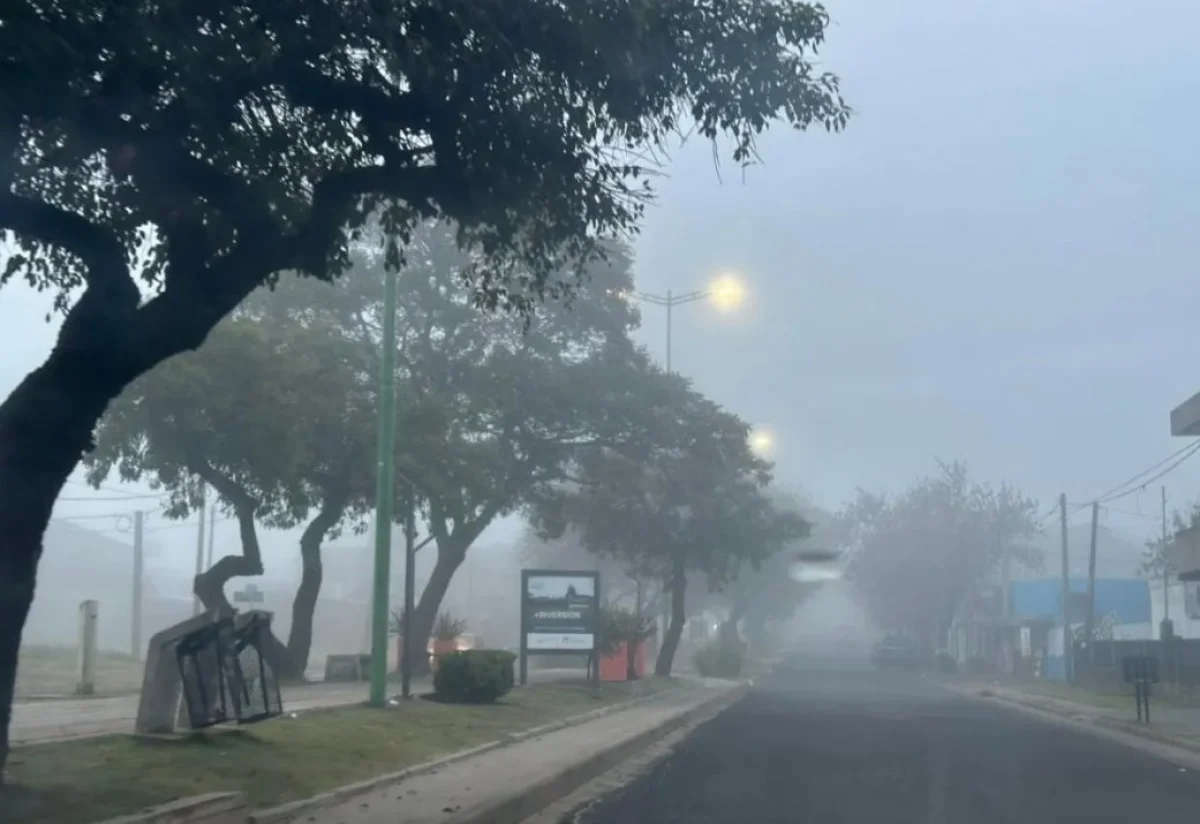 Por la neblina, hay 100 metros de visibilidad en la ciudad y corte en Zárate - Brazo Largo - imagen de origen