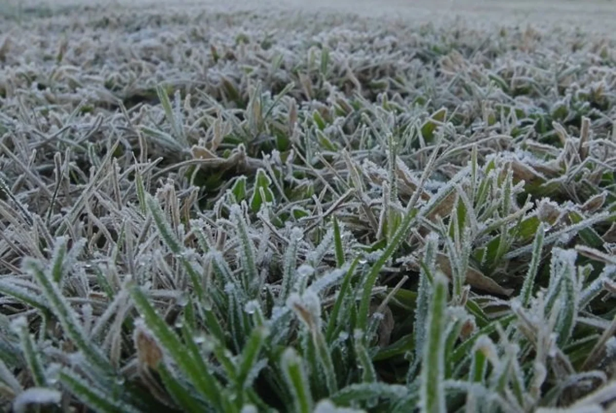 Frío amanecer en Concepción del Uruguay: la temperatura descendió a 1°C - imagen de origen