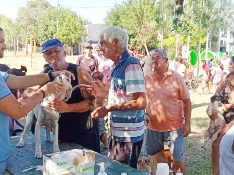 Vecinos impulsan para Concordia una ordenanza de bienestar animal y gestión de fauna urbana - imagen de origen