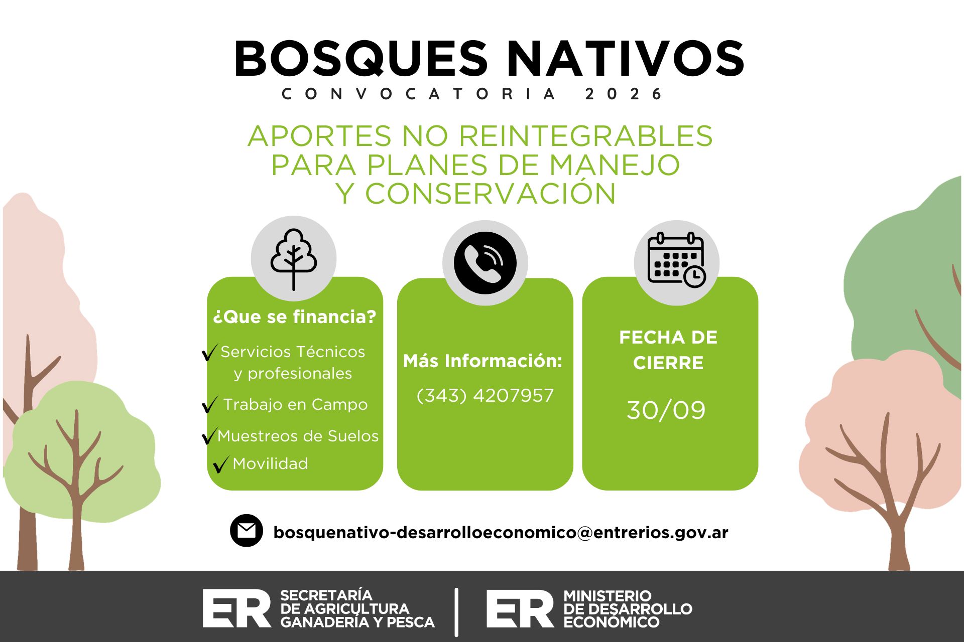 Convocatoria para financiar proyectos de manejo y conservación del bosque nativo - imagen de origen