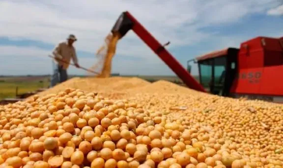 El campo entrerriano cerró la campaña de soja con menos producción pero la de "segunda" salvó las cuentas - imagen de origen
