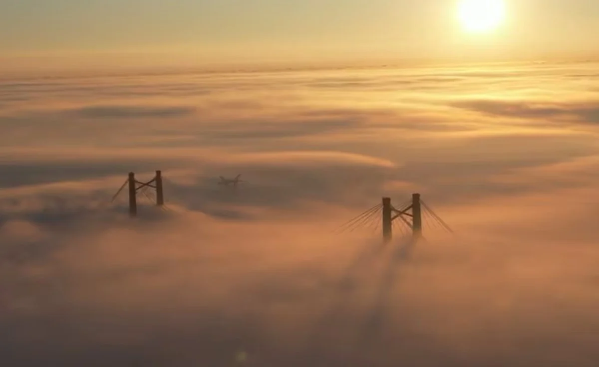 Advertencia violeta por niebla: corte en el puente Zárate-Brazo Largo y vuelos suspendidos - imagen de origen