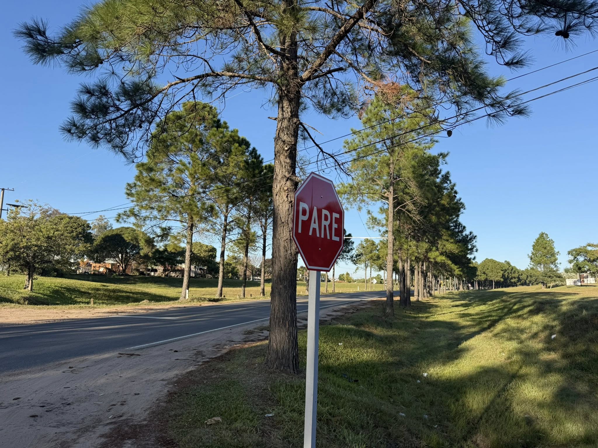 Seguridad vial en Federación: el bloque del PJ impulsa un proyecto de resolución por obras urgentes en la Ruta 44 - 7PAGINAS - imagen de origen