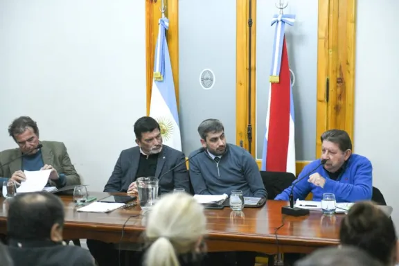 Castrillón y Kisser cuestionaron la declaración de emergencia que incluye la reforma previsional - imagen de origen