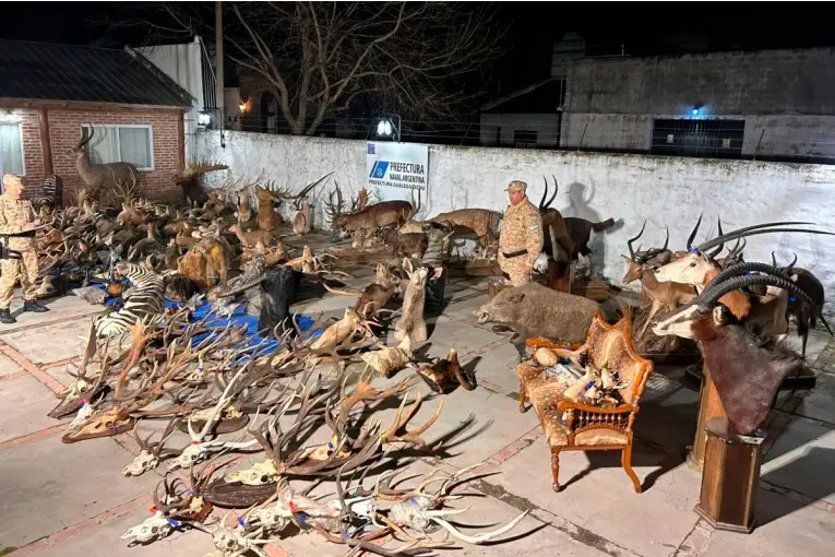 Allanaron un galpón vinculado a un coto de caza y secuestraron bienes por más de $1300 millones - imagen de origen