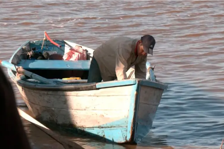 Levantaron la veda pesquera extraordinaria tras la dispersión de surubíes en un tramo del río Paraná - imagen de origen