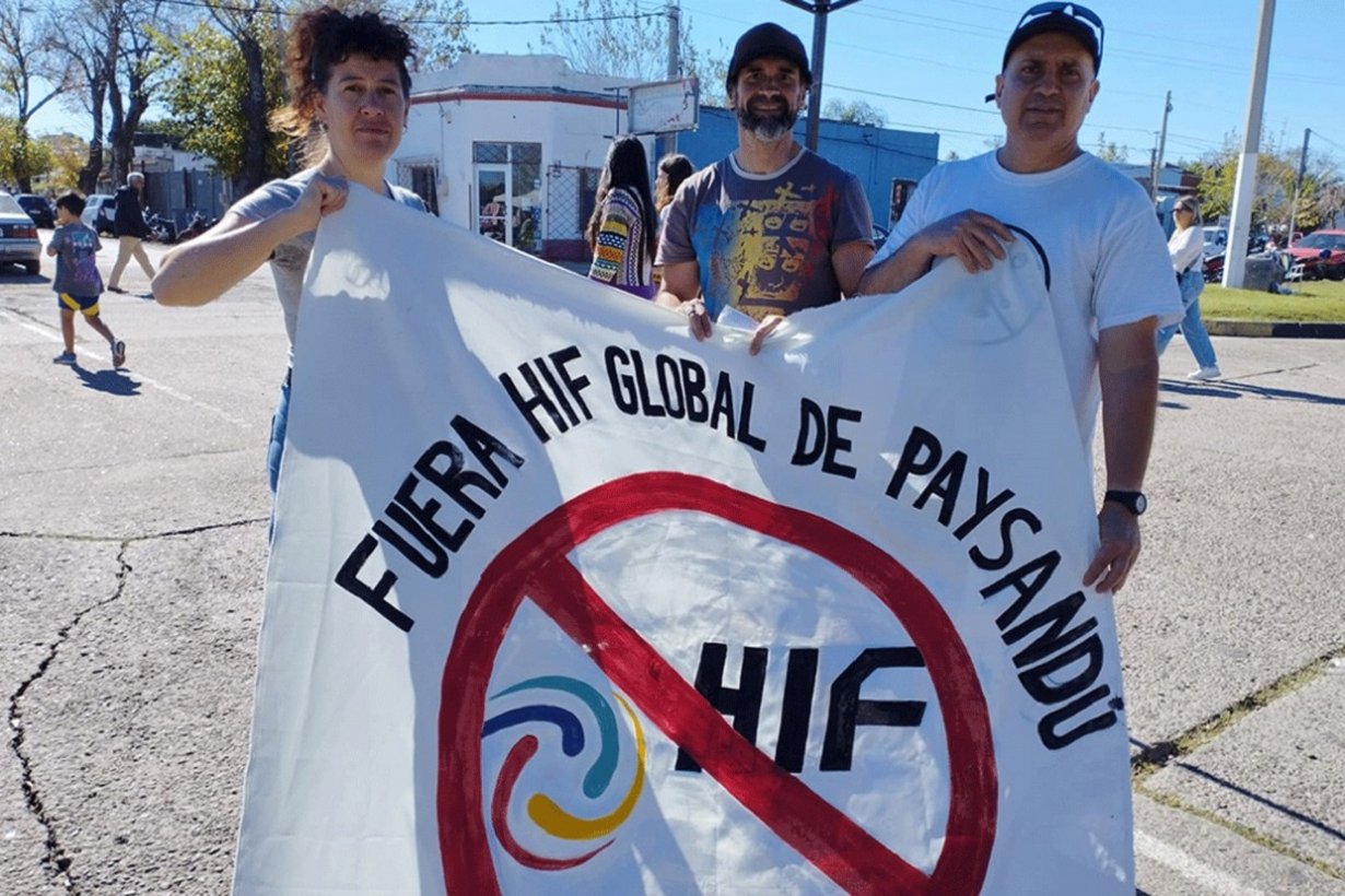 Ambientalistas buscan entregar 17.000 firmas contra el proyecto HIF - Informe Digital - imagen de origen