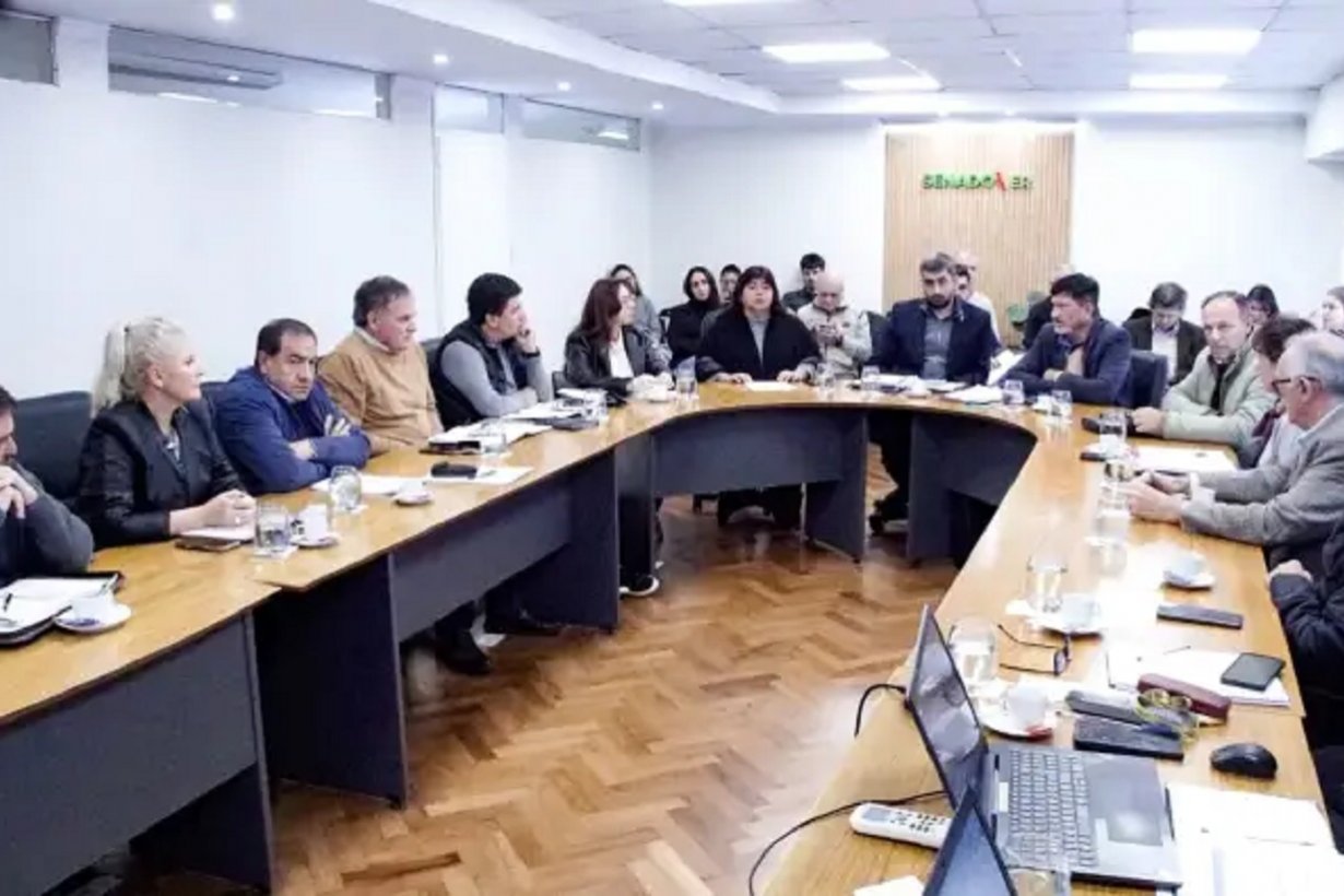 Reforma previsional: arrancan las audiencias en el Senado - Informe Digital - imagen de origen