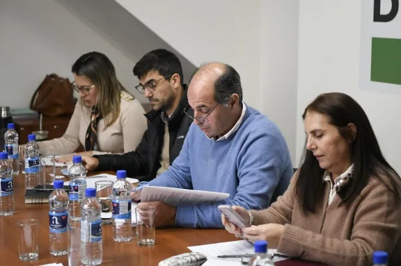 Juicio Político y desarrollo territorial, ejes del trabajo de comisiones de Diputados - imagen de origen