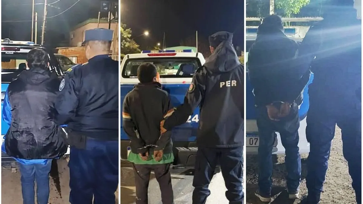 Paraná: robos y violencia familiar con intervención policial - imagen de origen