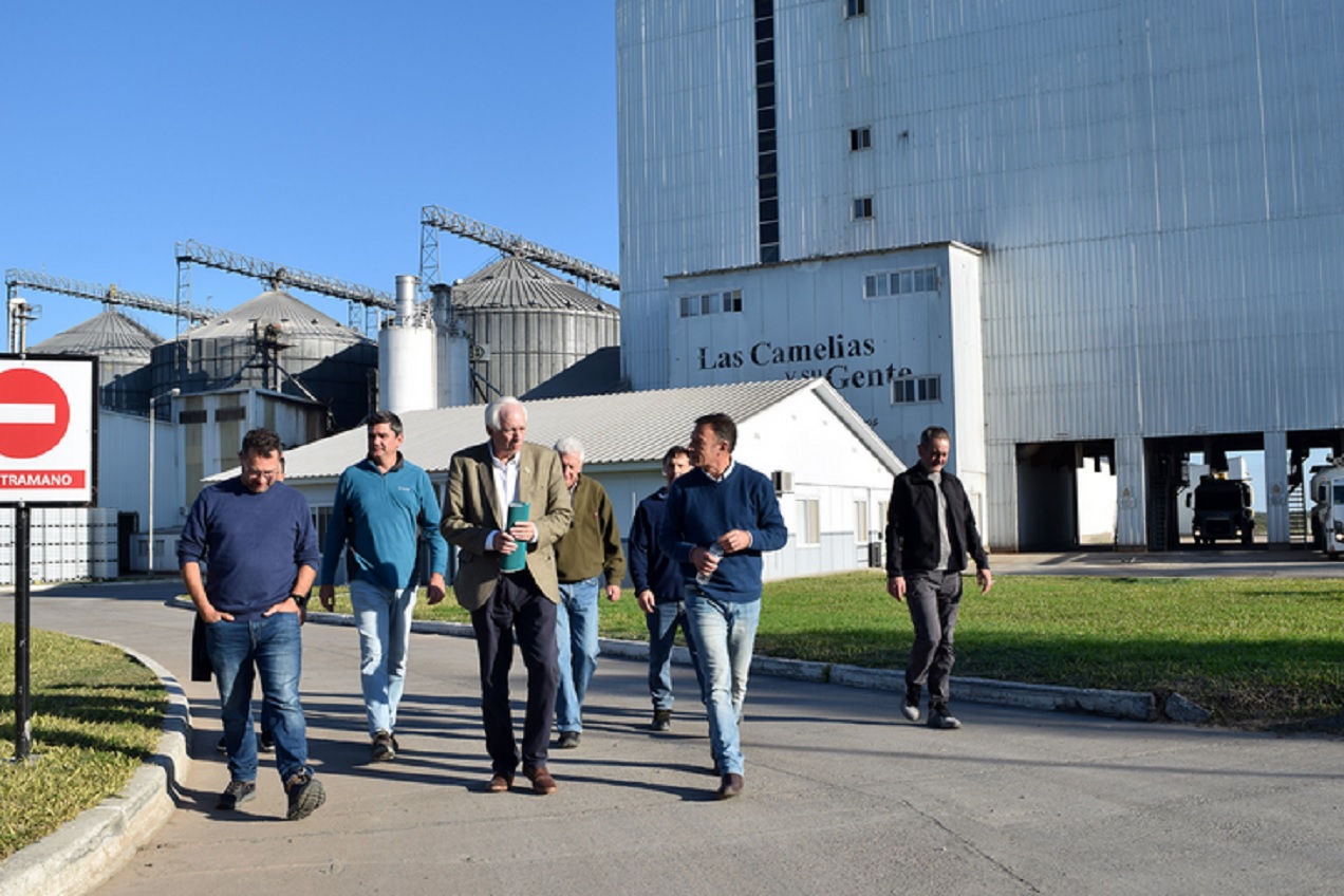 Inversión avícola en Villaguay suma desarrollo en bioseguridad con tecnología de punta - imagen de origen