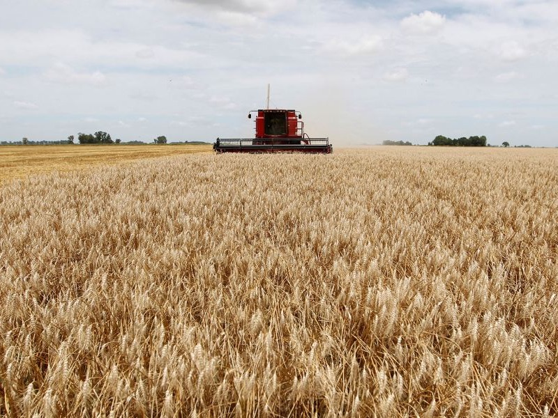 Baja de las retenciones: tras el anuncio, el campo espera más siembra y alivio fiscal - imagen de origen