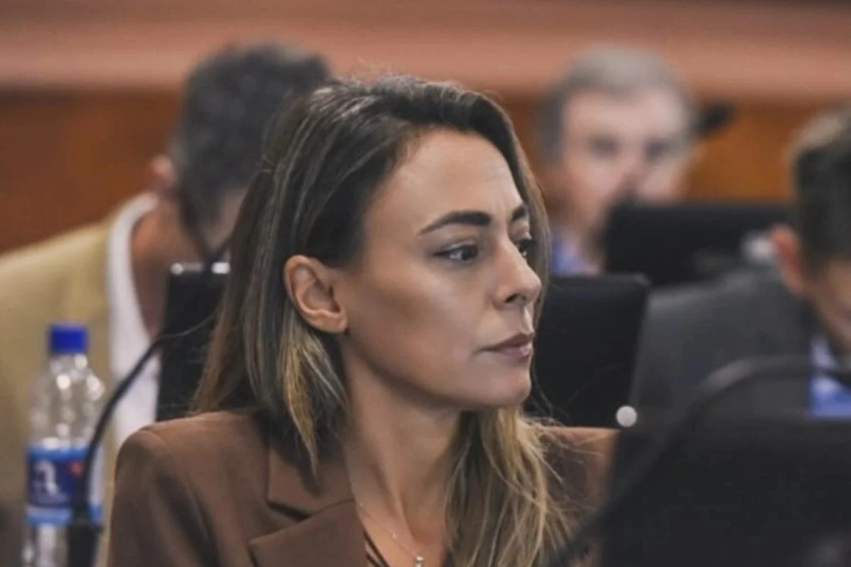 Arrozogaray impulsa una iniciativa para proteger al comercio entrerriano y fortalecer la recaudación provincial - imagen de origen