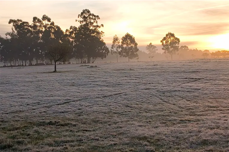 Imágenes: blanqueó la helada en Entre Ríos y dos localidades registraron temperaturas de 0°C - imagen de origen