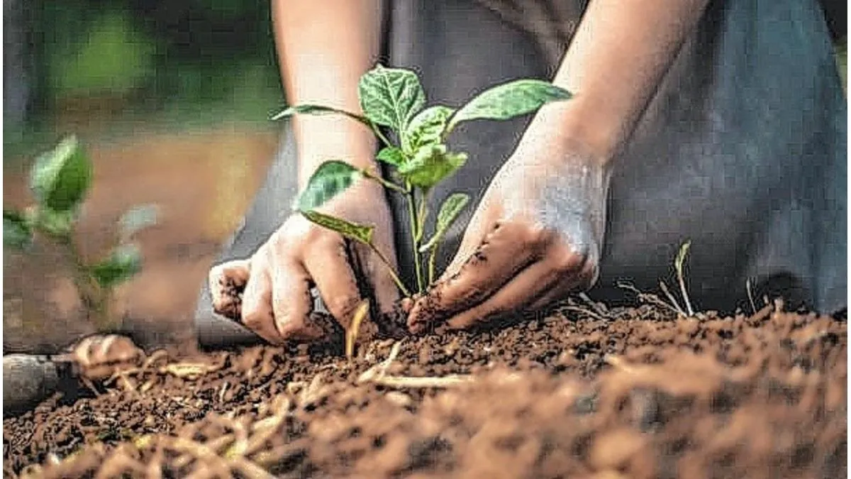 El frío comienza a afectar la producción hortícola de la zona y ya advierten escasez en góndolas - imagen de origen
