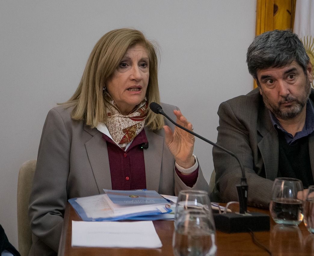 Reforma: Romero alertó sobre «delegación de facultades» - imagen de origen