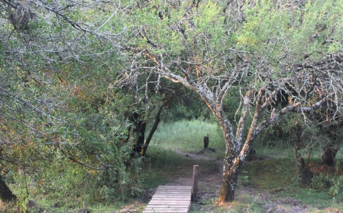 Millonarios subsidios a una asociación vinculada al Campamento Calá generan polémica en Entre Ríos - imagen de origen