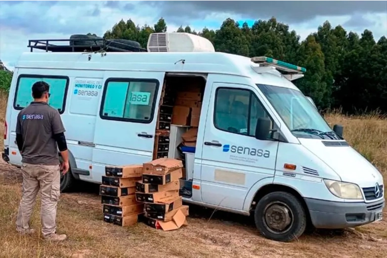 Decomisaron más de tres toneladas de embutidos que eran transportados por la región - imagen de origen