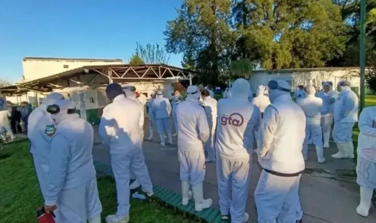 Se movilizan nuevamente este martes los trabajadores de granja Tres Arroyos - imagen de origen