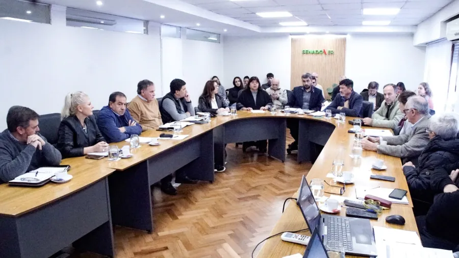 Reforma previsional: el Senado inició el debate y convocará a funcionarios, gremios y expertos | Análisis - imagen de origen