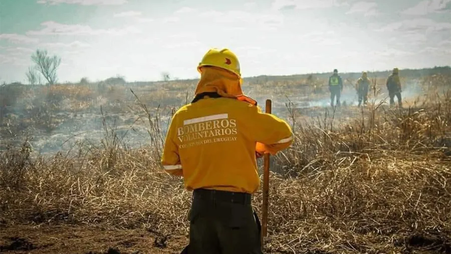 Senadores piden al Ejecutivo que cumpla con la ley y garantice que los Bomberos tengan cobertura de salud | Análisis - imagen de origen