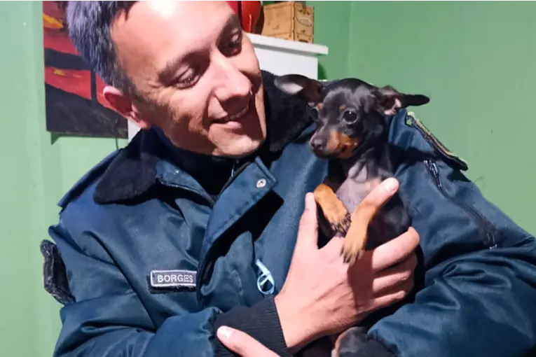 Recuperaron un perro por un caso de maltrato animal en Paraná - imagen de origen