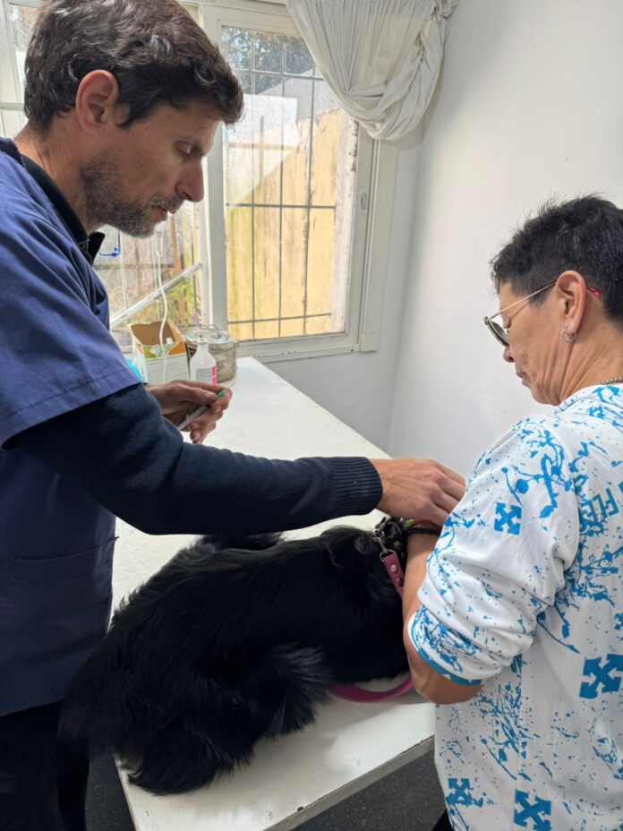 Sanidad Animal refuerza atenciones y realizará operativos de desparasitación - imagen de origen